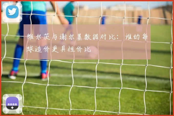 维尔茨与谢尔基数据对比：谁的每球造价更具性价比